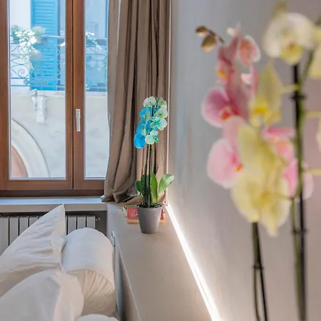 The Bright Nest Verona