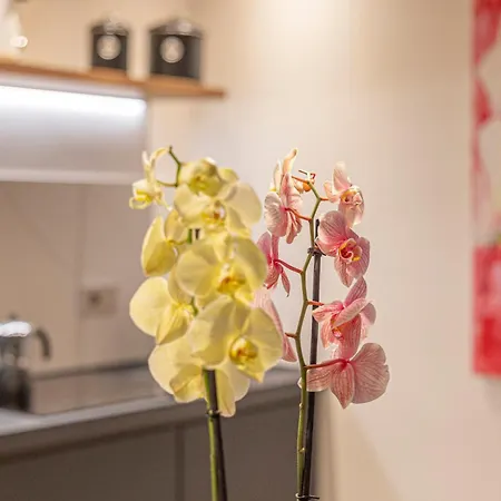 Apartamento The Bright Nest *